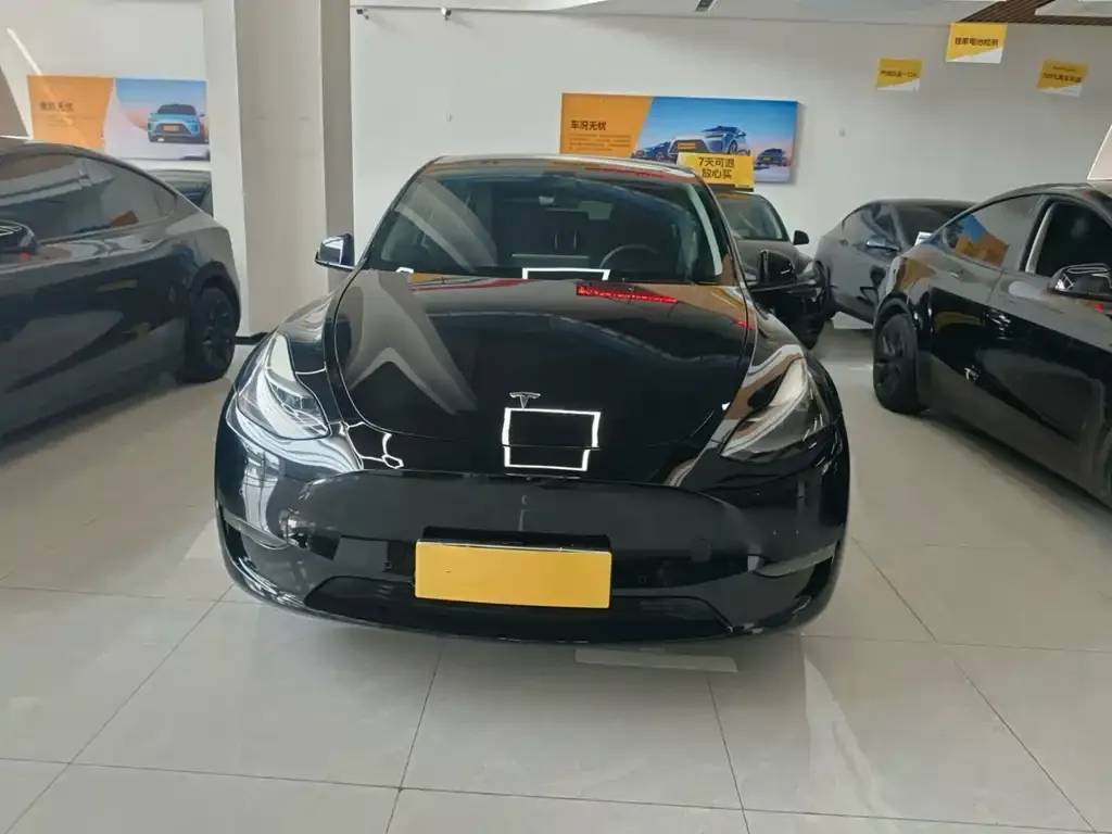 Tesla Model Y — фото 2