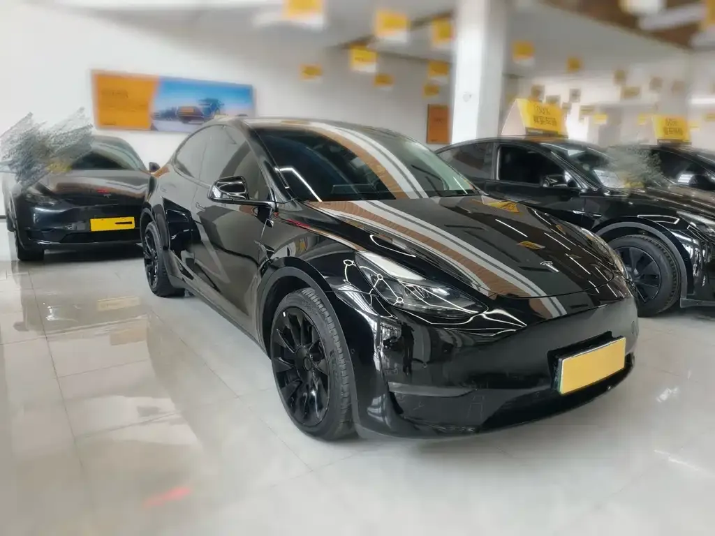 Tesla Model Y — фото 5