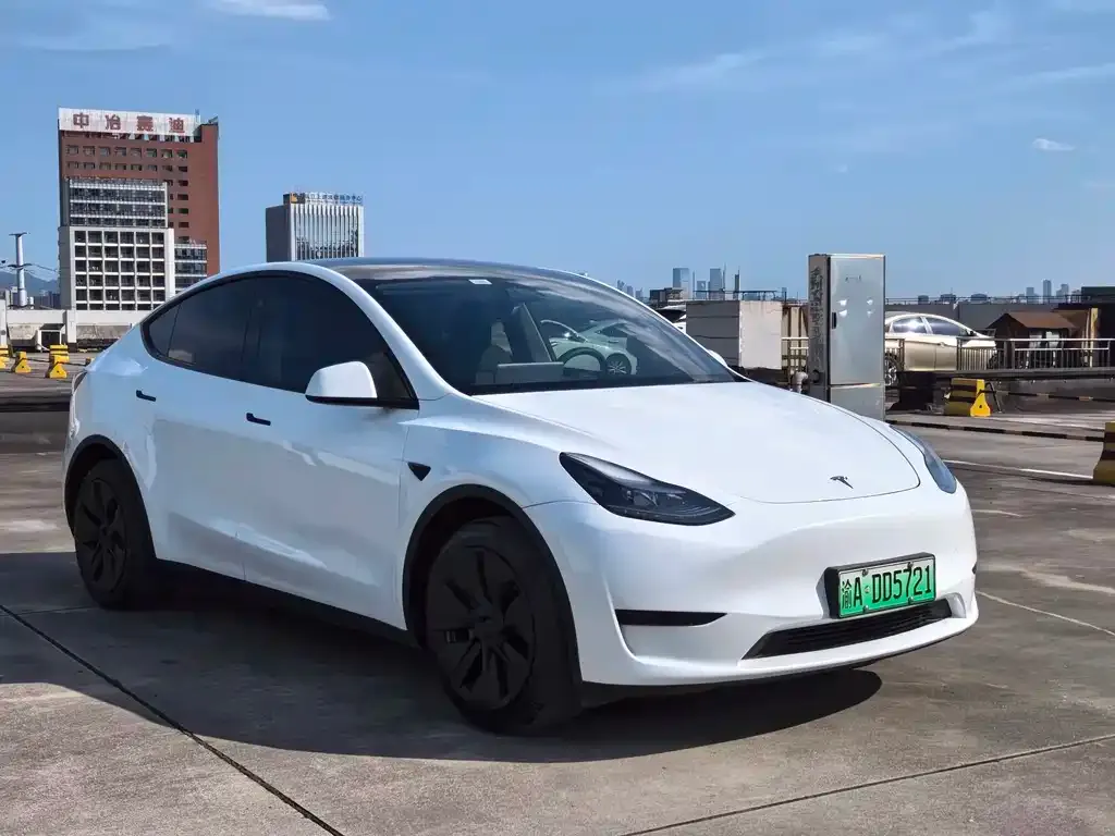 Tesla Model Y — фото 9