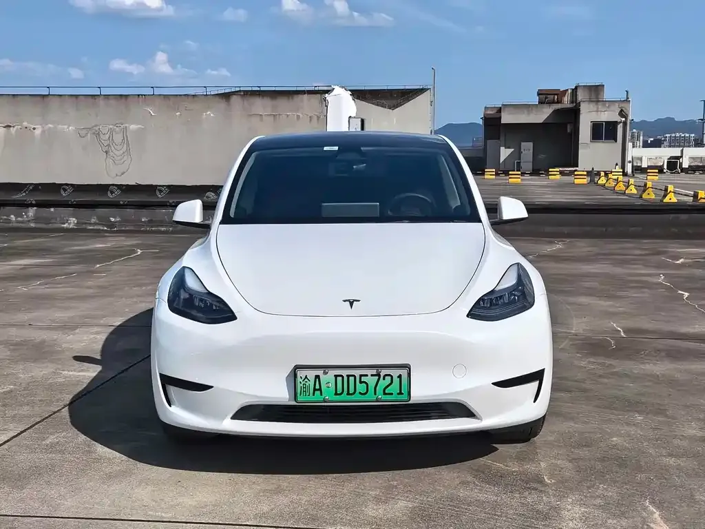 Tesla Model Y — фото 5