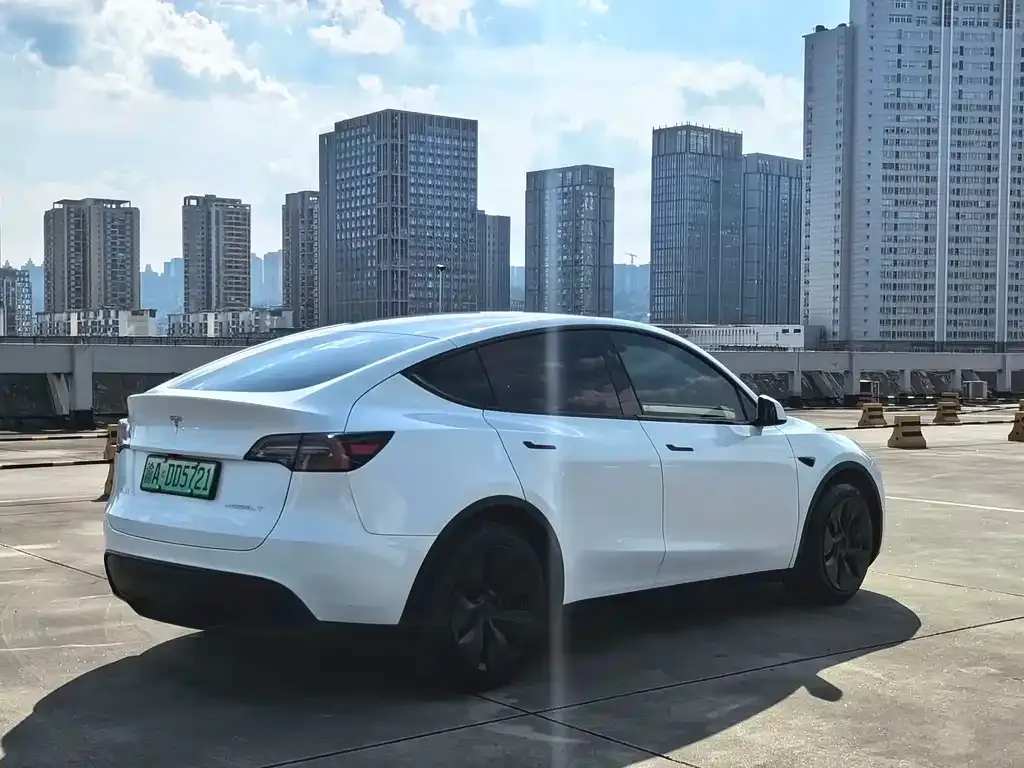 Tesla Model Y — фото 4