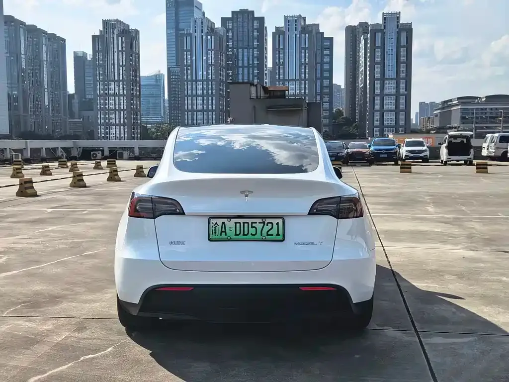 Tesla Model Y — фото 6