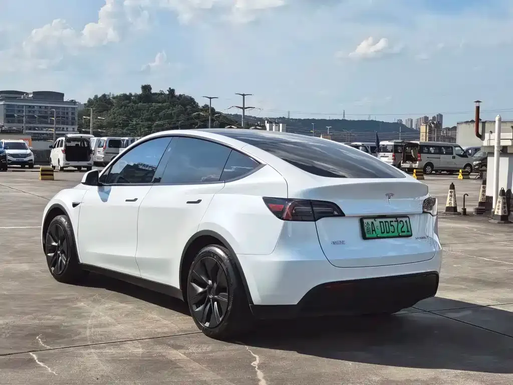 Tesla Model Y — фото 10