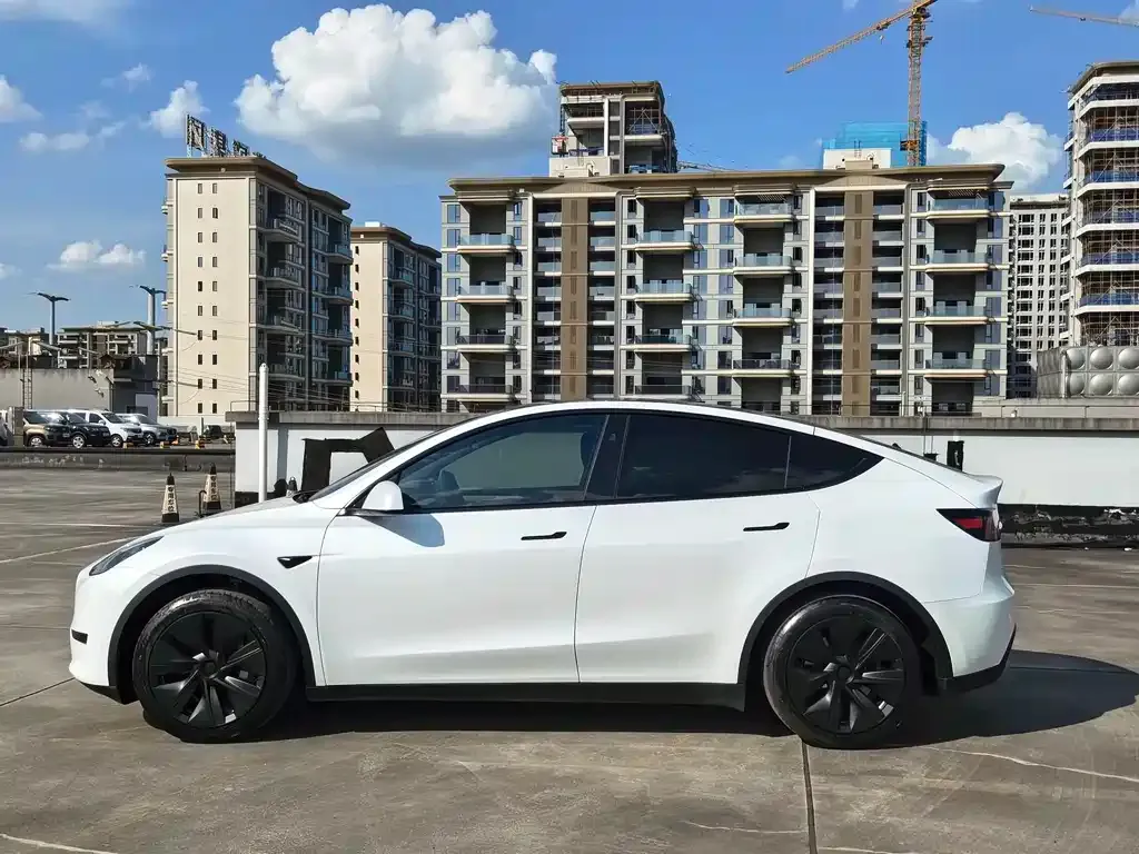 Tesla Model Y — фото 8