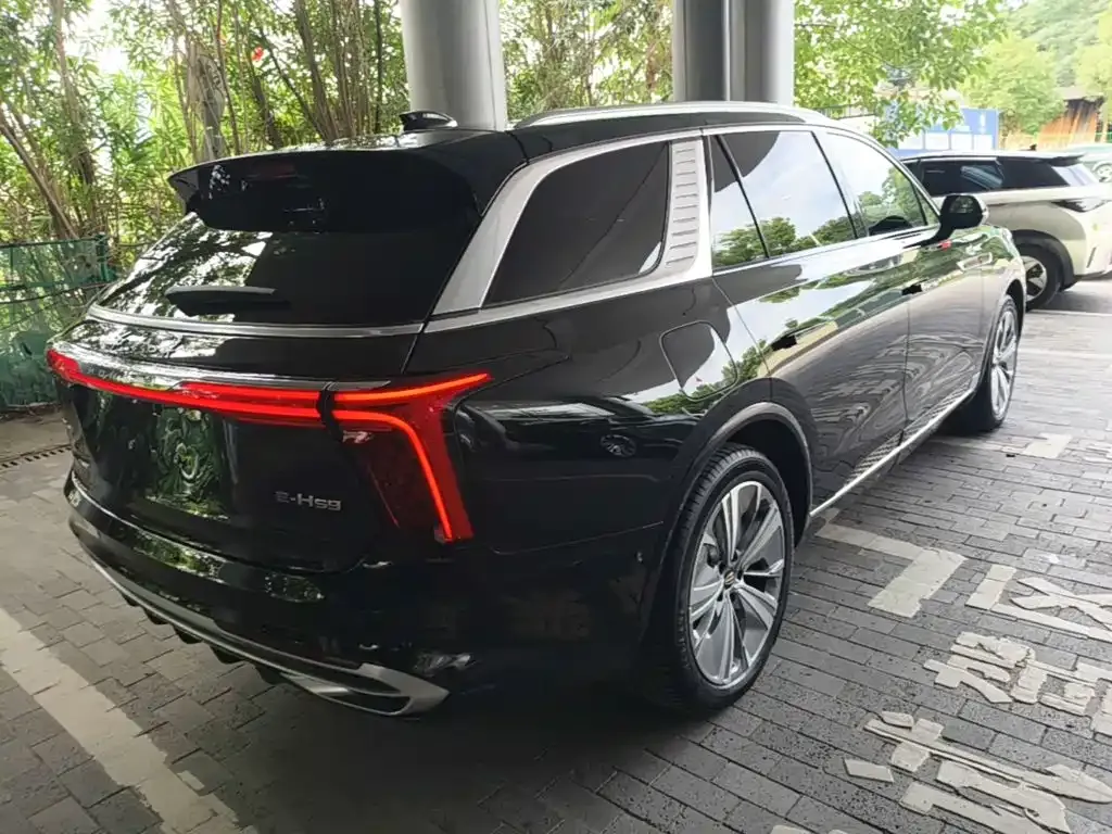 Hongqi E-HS9 — фото 9