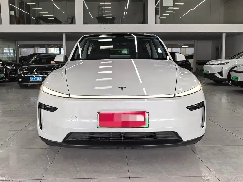 Tesla Model Y — фото 10