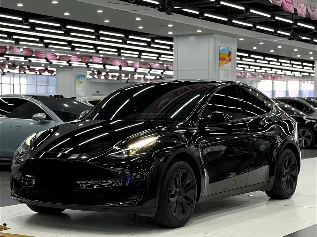 Tesla Model Y — фото 1