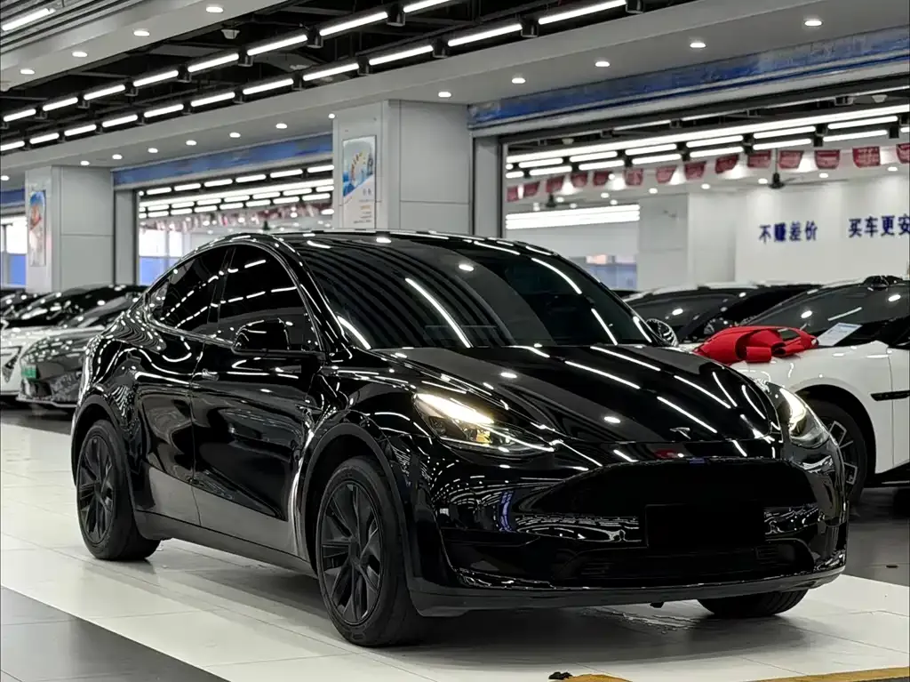 Tesla Model Y — фото 6