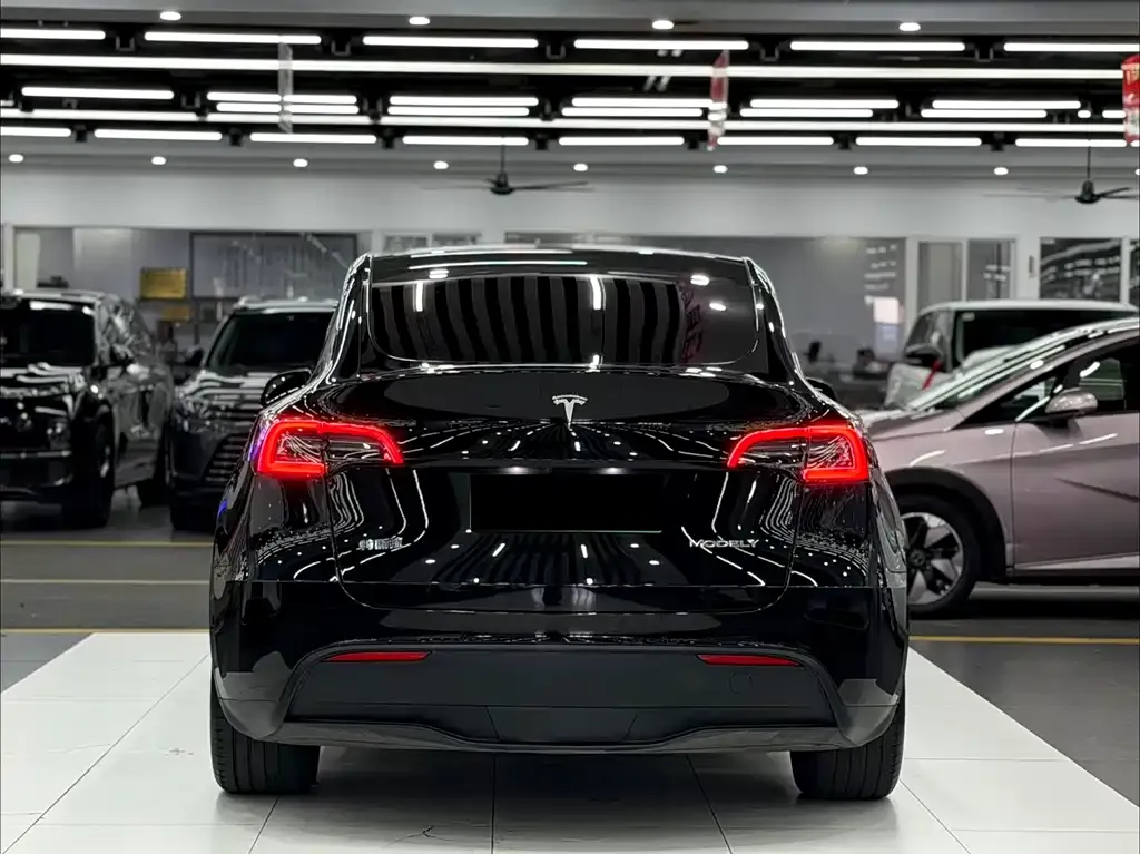 Tesla Model Y — фото 3