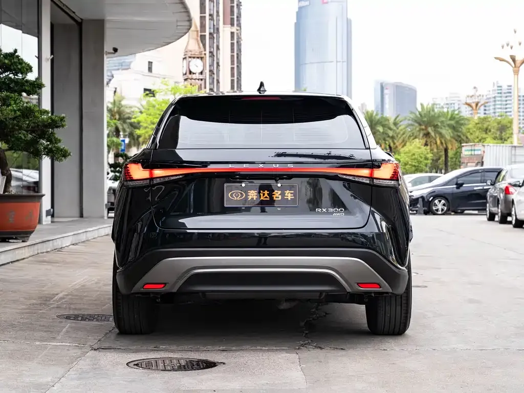 Lexus RX — фото 8