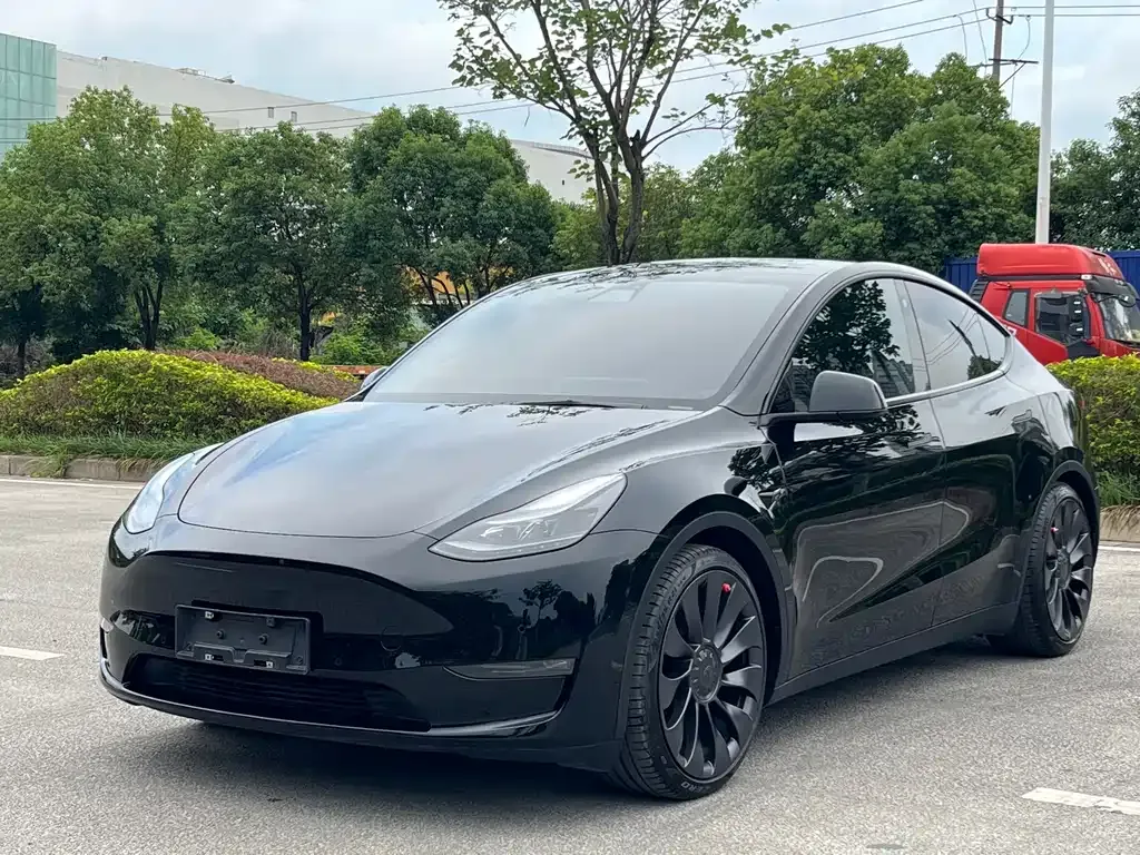 Tesla Model Y — фото 1