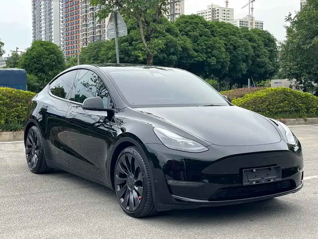 Tesla Model Y — фото 9