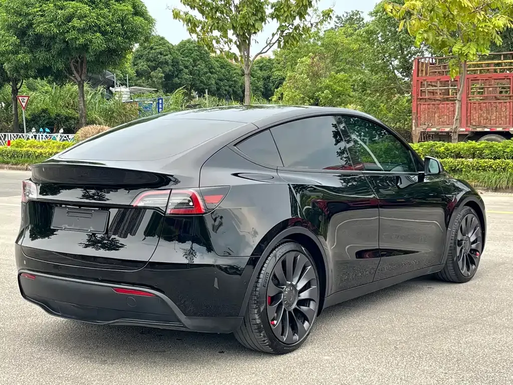 Tesla Model Y — фото 10