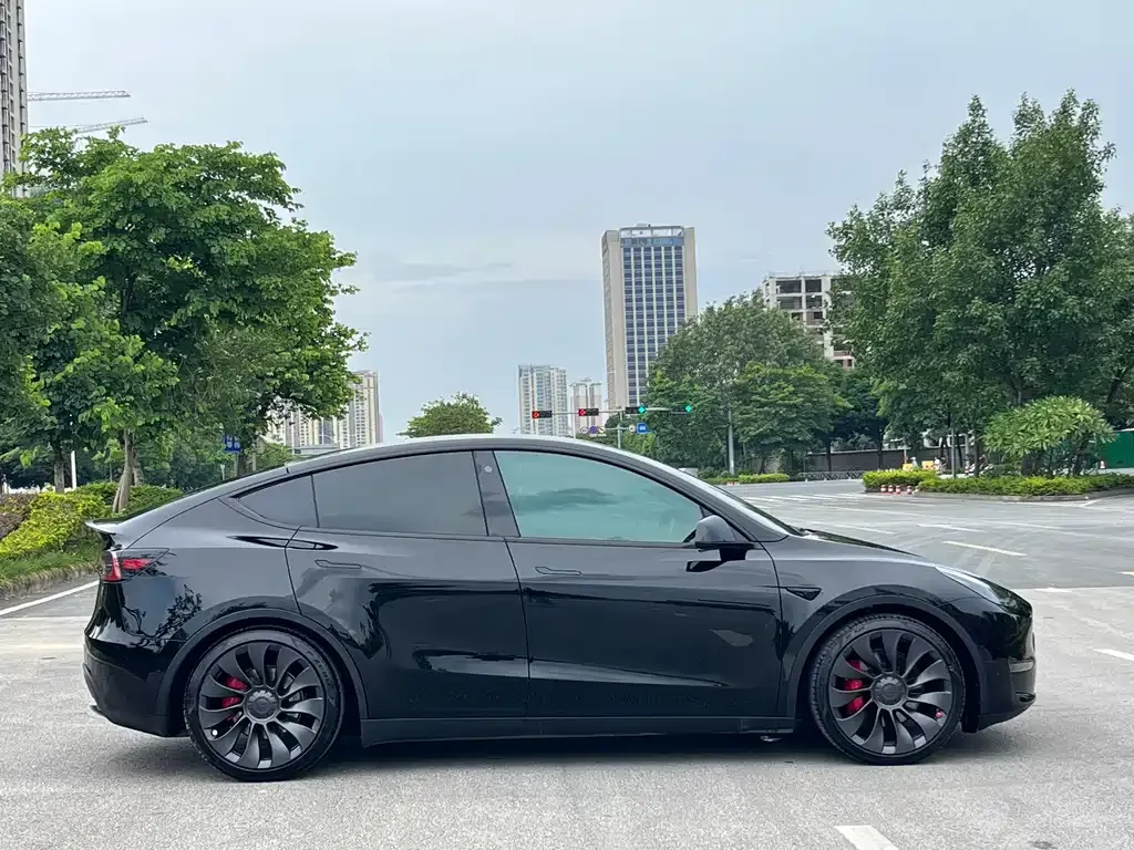 Tesla Model Y — фото 3