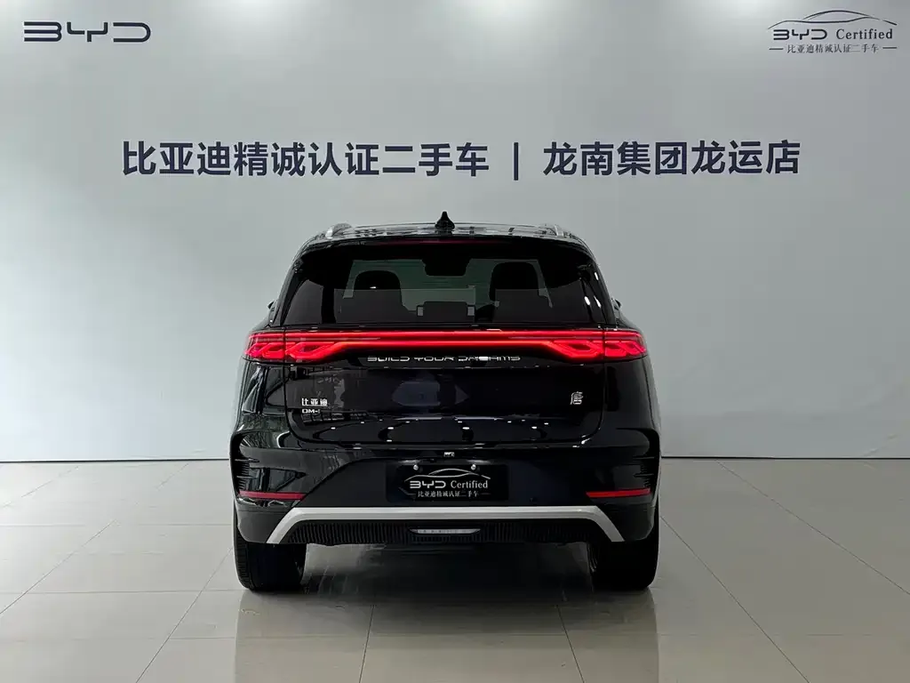 BYD Tang New Energy — фото 2