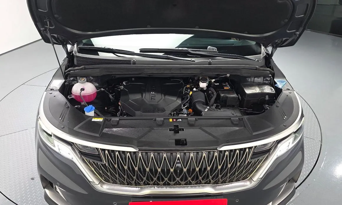 Kia Carnival — фото 10