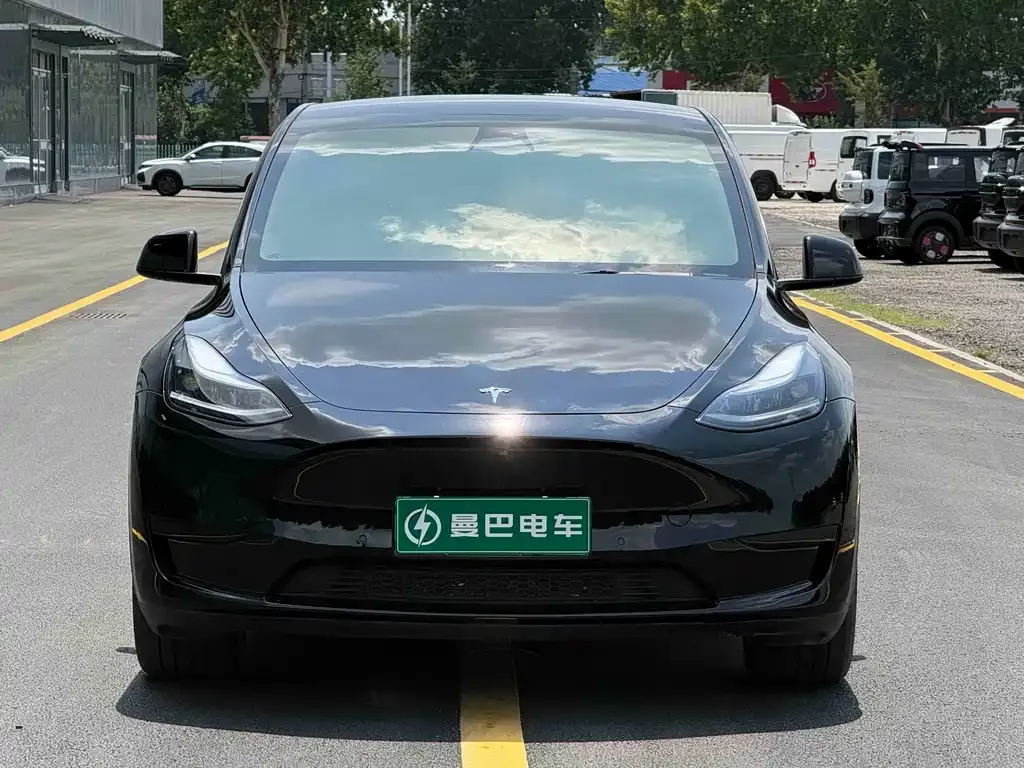 Tesla Model Y — фото 6