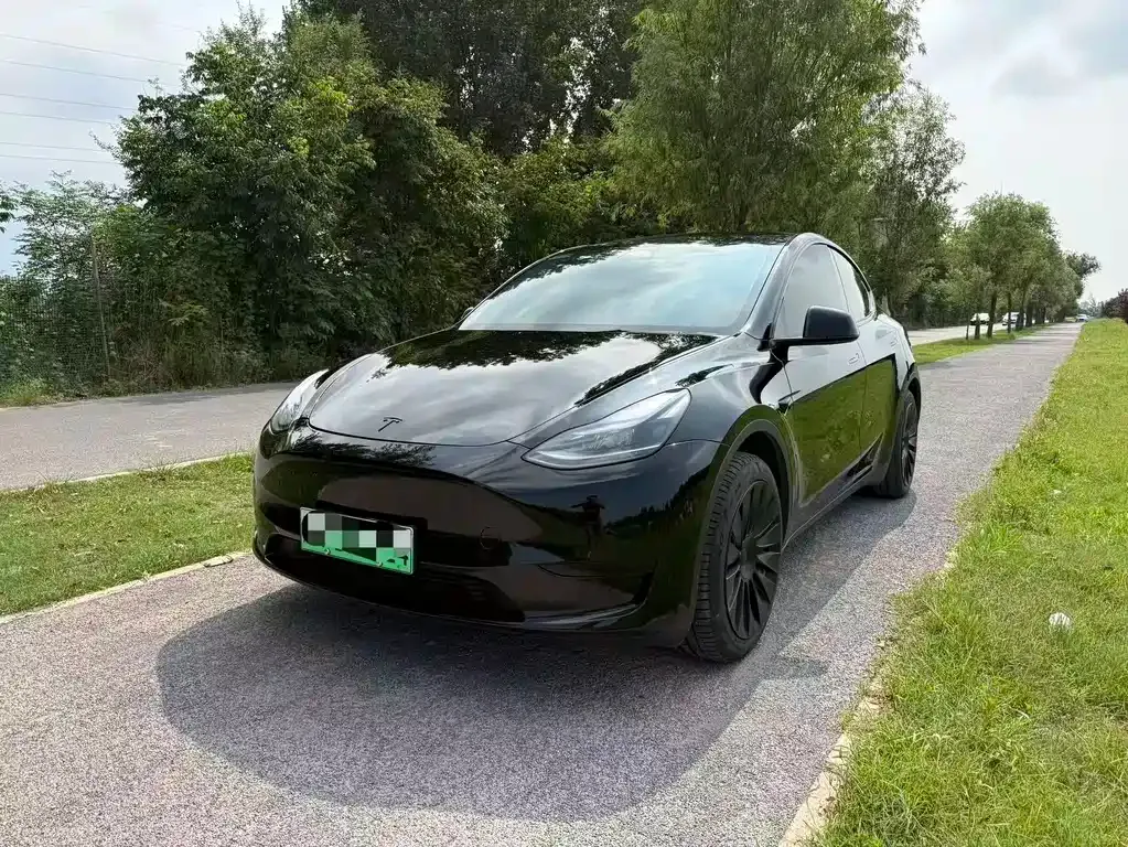 Tesla Model Y — фото 1