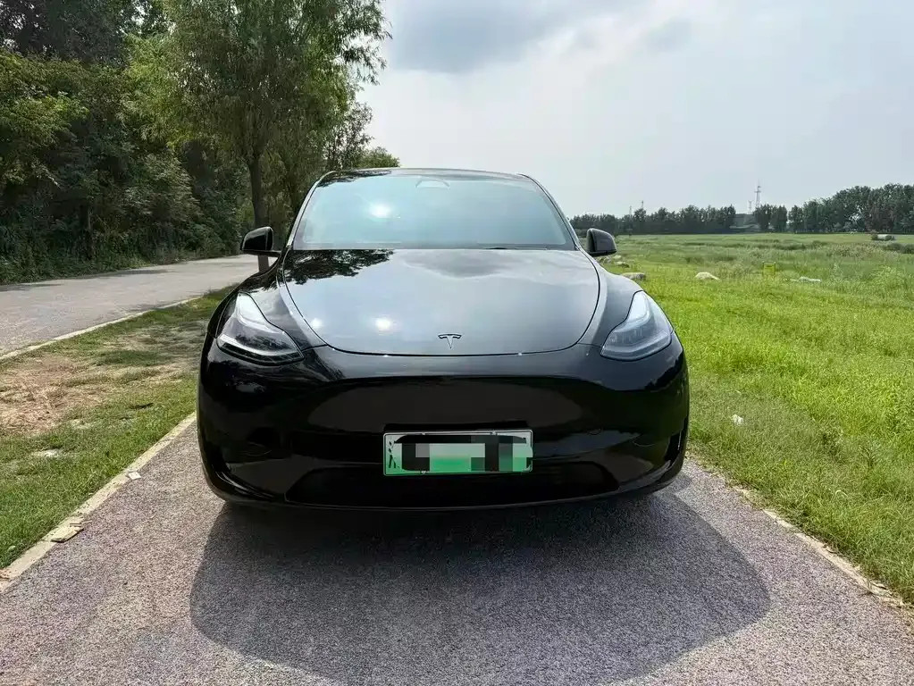 Tesla Model Y — фото 6