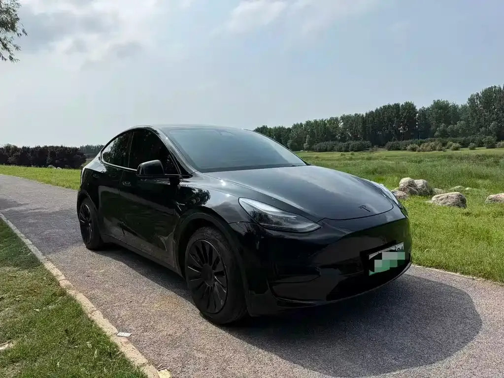 Tesla Model Y — фото 8