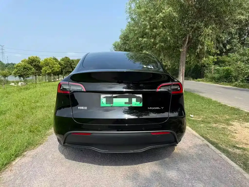 Tesla Model Y — фото 4