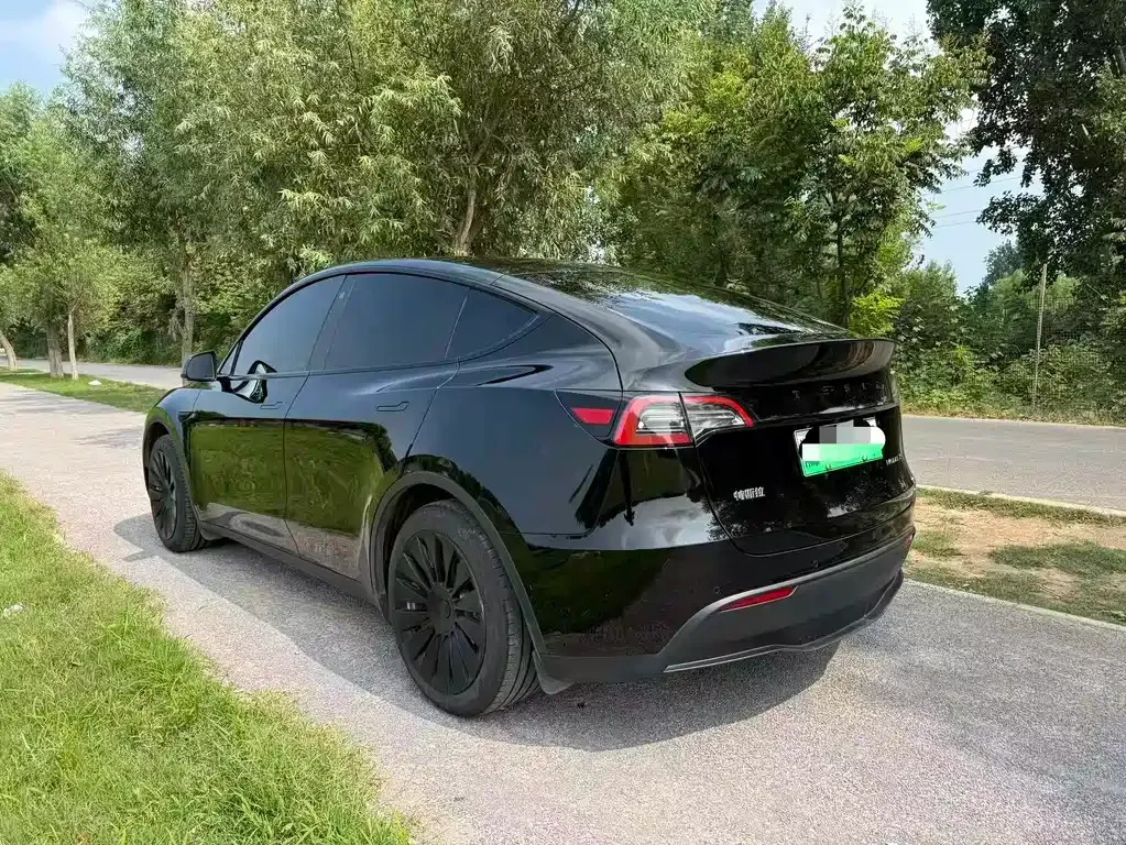 Tesla Model Y — фото 9