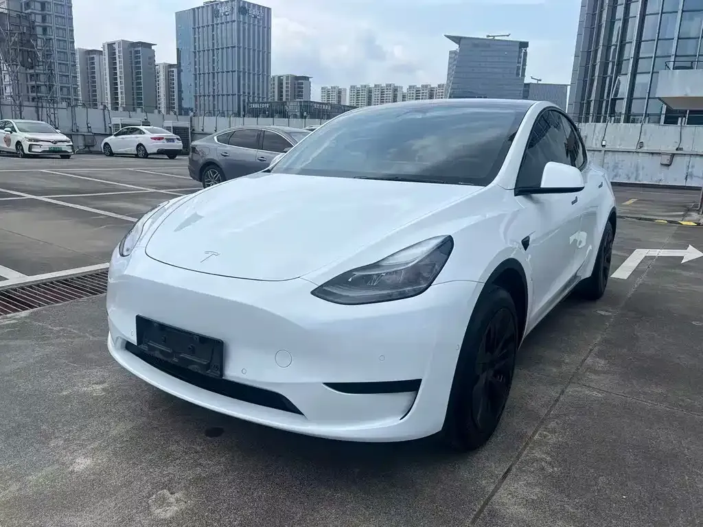 Tesla Model Y — фото 1