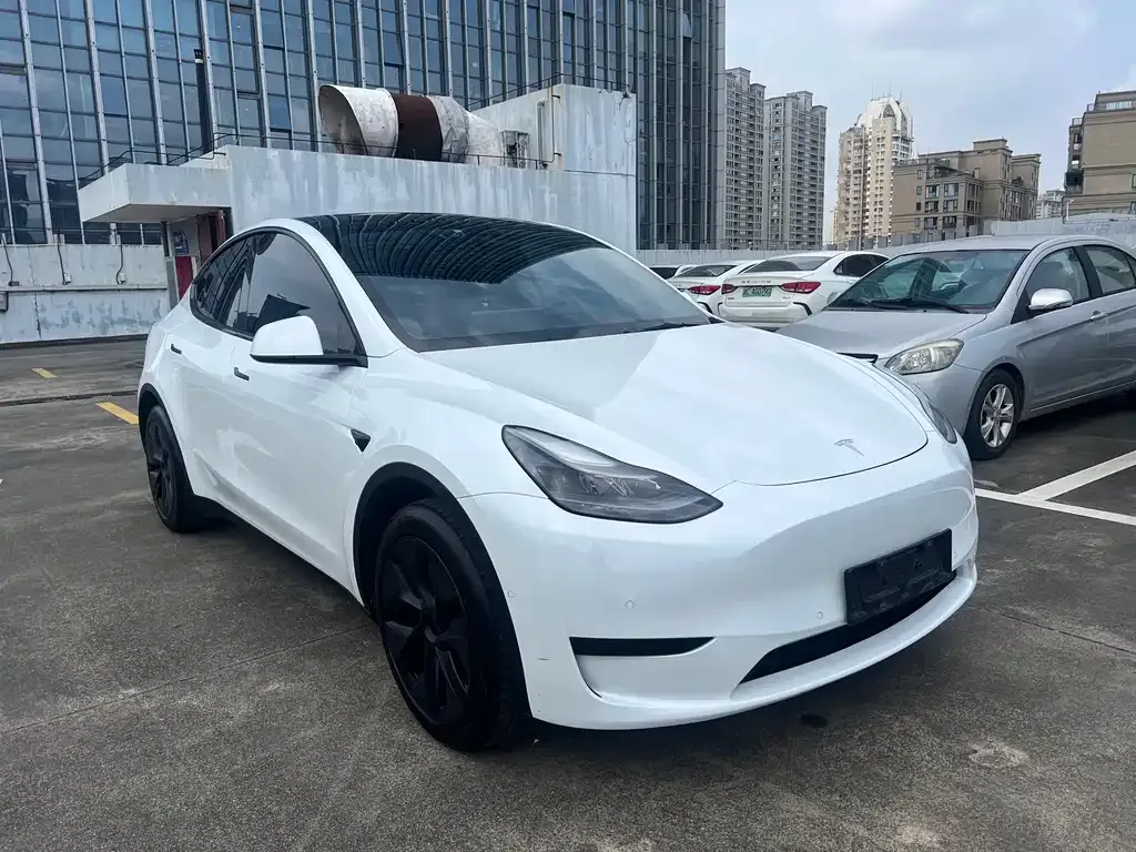 Tesla Model Y — фото 9