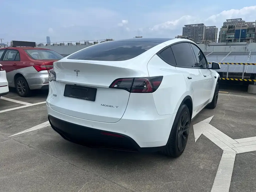 Tesla Model Y — фото 5