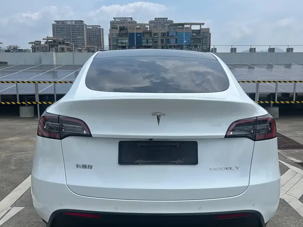 Tesla Model Y — фото 7