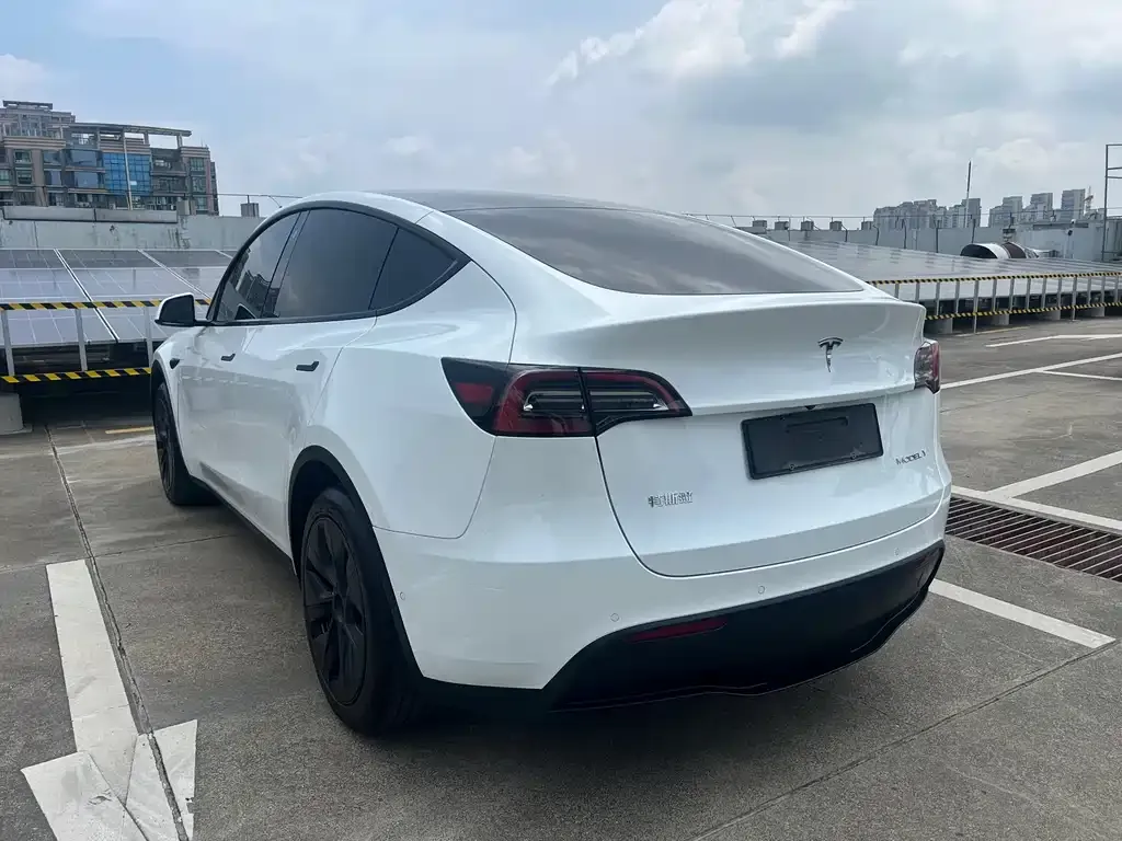 Tesla Model Y — фото 2