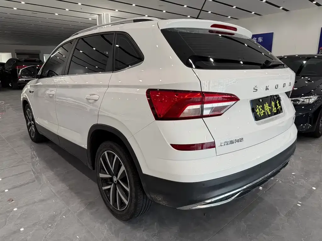 Skoda Kamiq 2023 из CN, фото 9