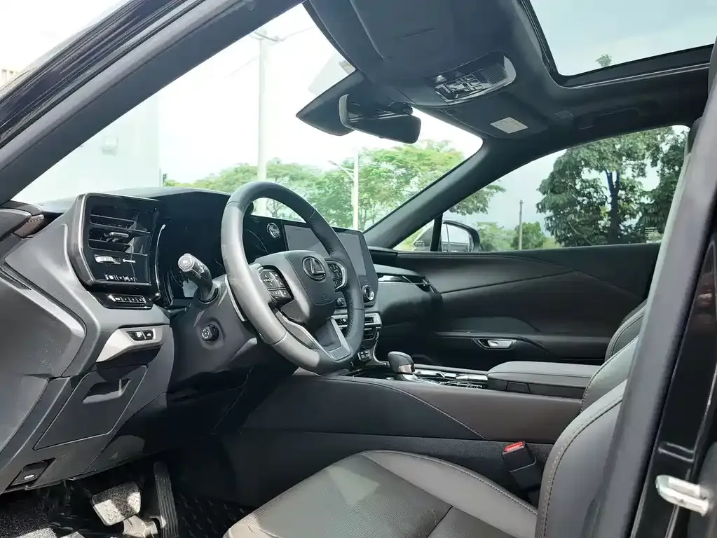 Lexus RX — фото 10