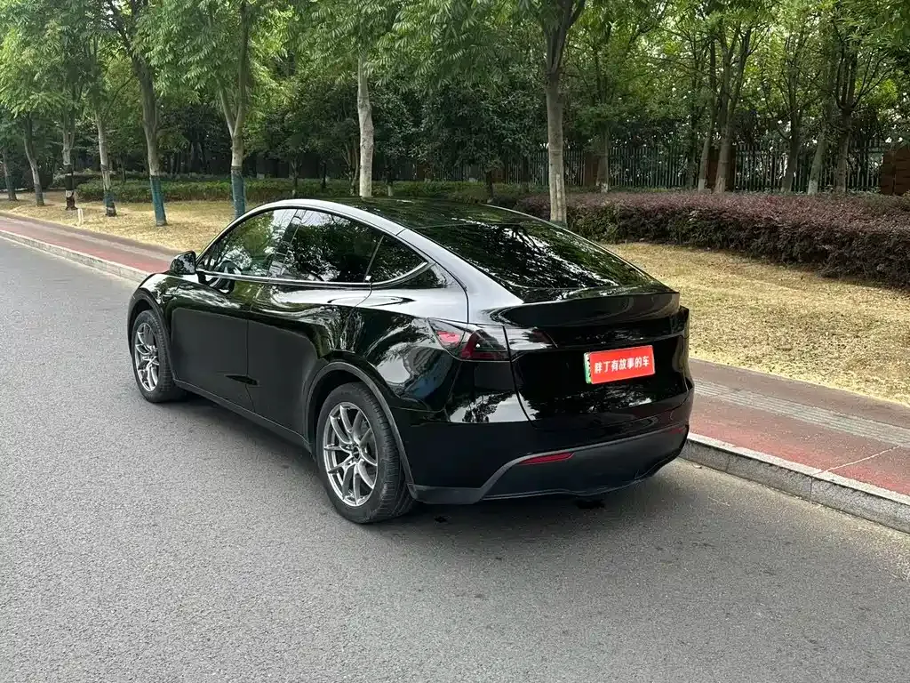 Tesla Model Y — фото 6