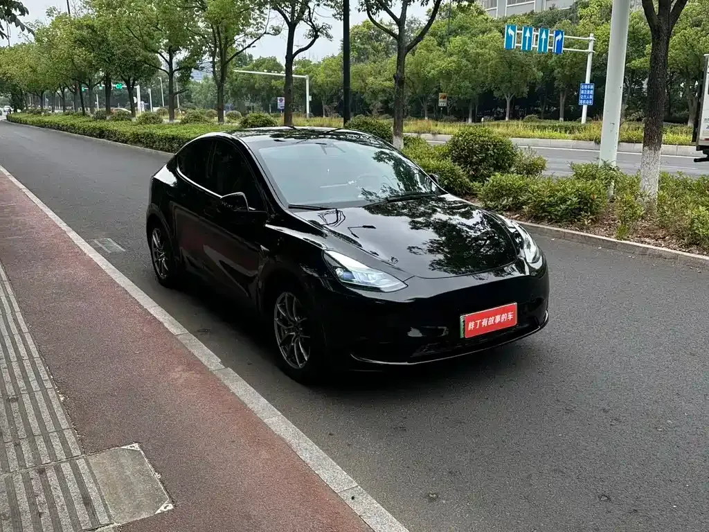 Tesla Model Y — фото 10