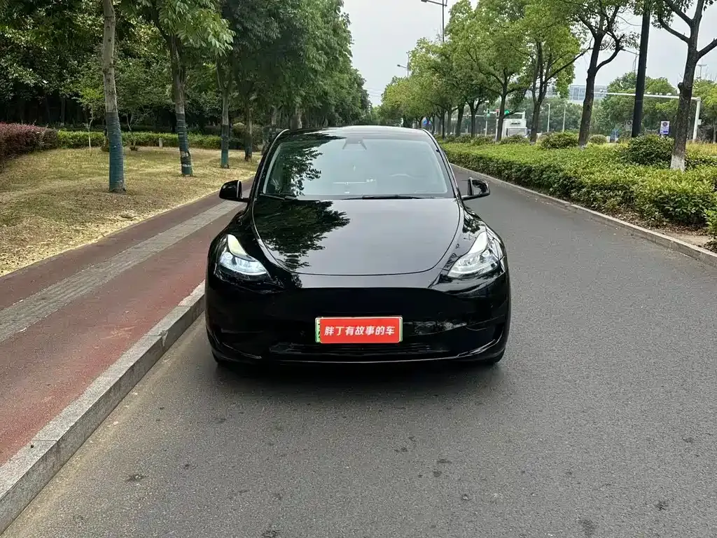 Tesla Model Y — фото 8