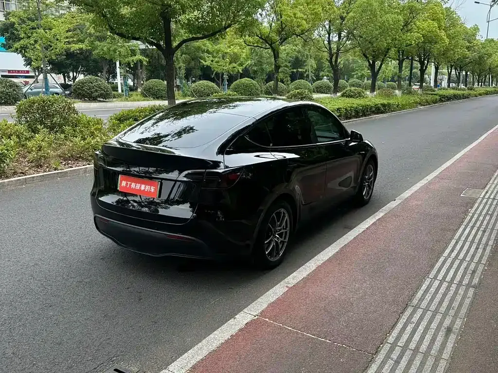 Tesla Model Y — фото 9