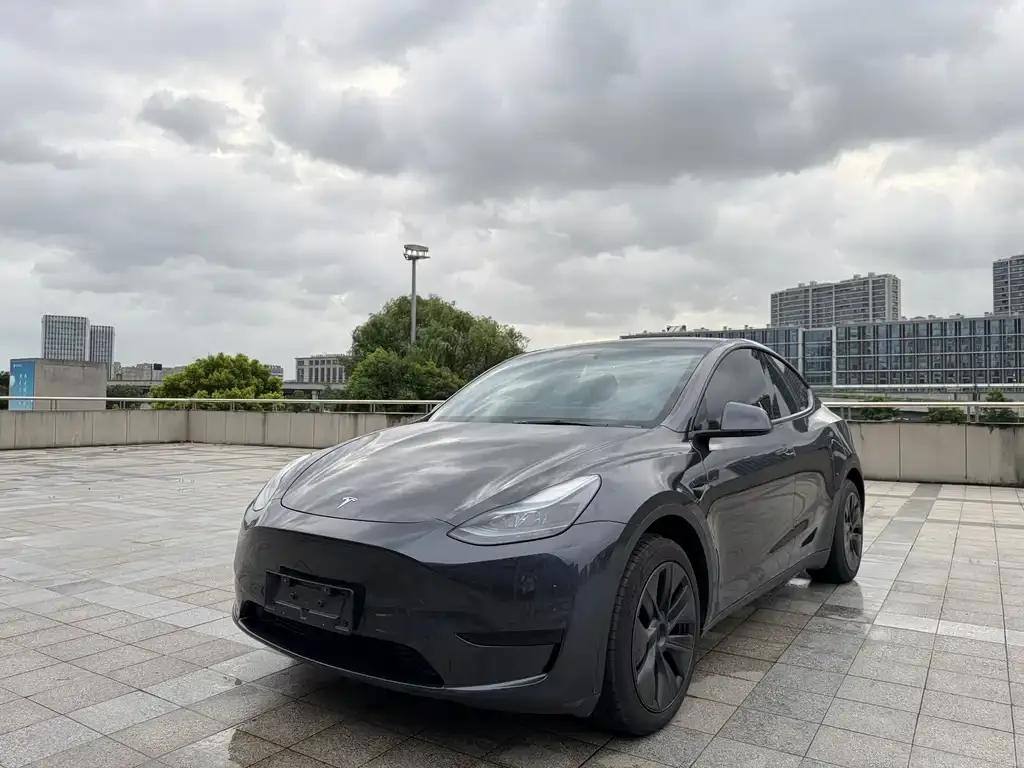 Tesla Model Y — фото 1
