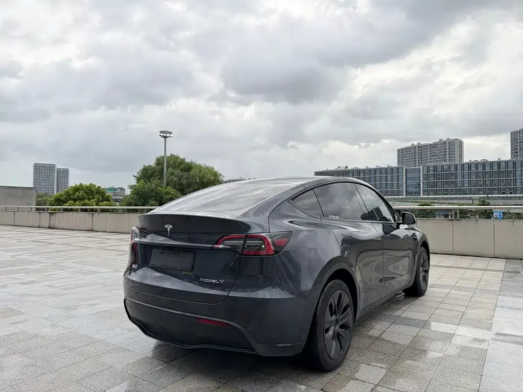 Tesla Model Y — фото 10