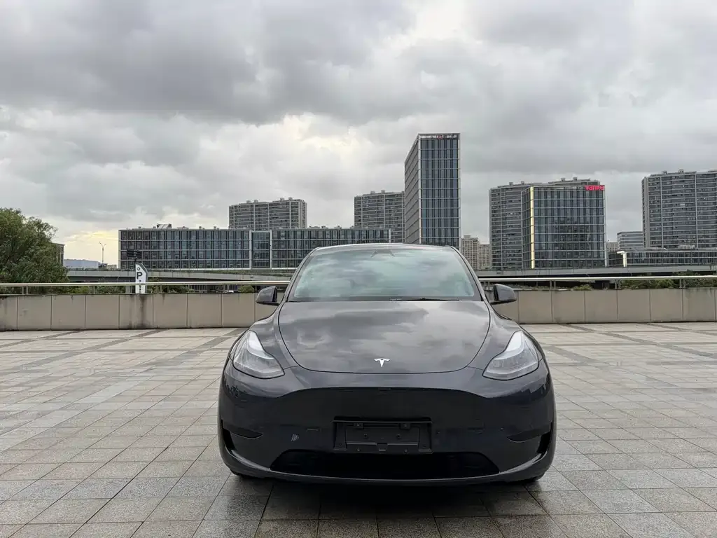 Tesla Model Y — фото 9