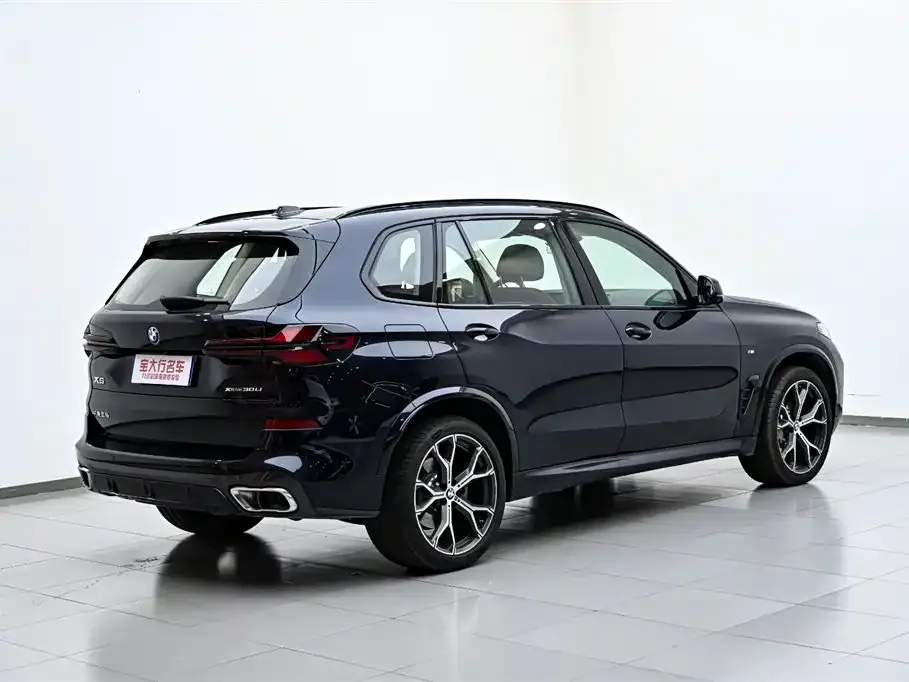 BMW X5 — фото 3