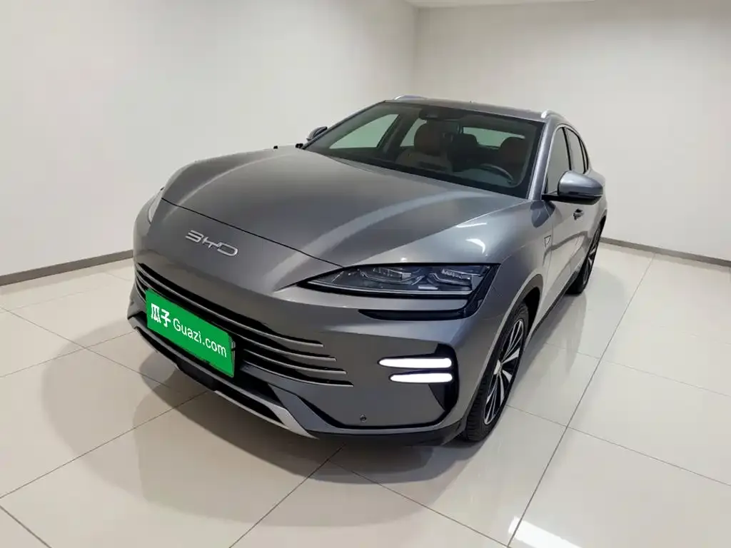 BYD PLUS New Energy — фото 1