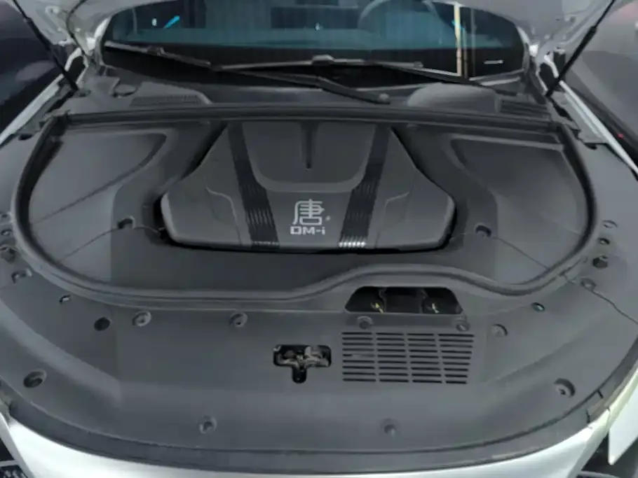 BYD Tang New Energy 2024 из CN, фото 4