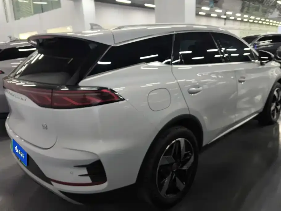 BYD Tang New Energy 2024 из CN, фото 10