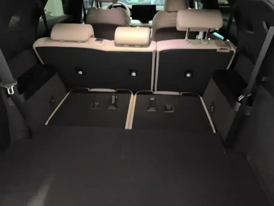 BYD Tang New Energy 2024 из CN, фото 5
