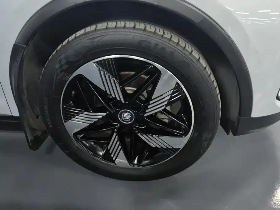 BYD Tang New Energy 2024 из CN, фото 9