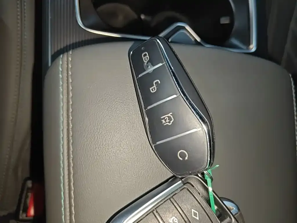 BYD L DM-i — фото 2