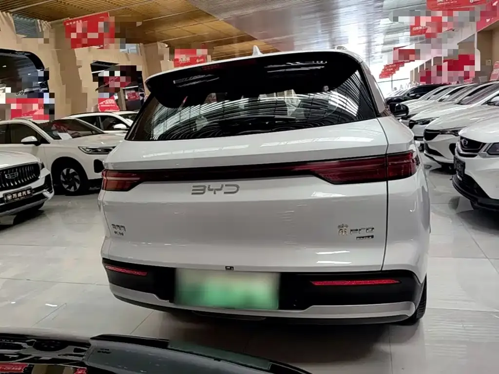 BYD Pro New Energy — фото 9