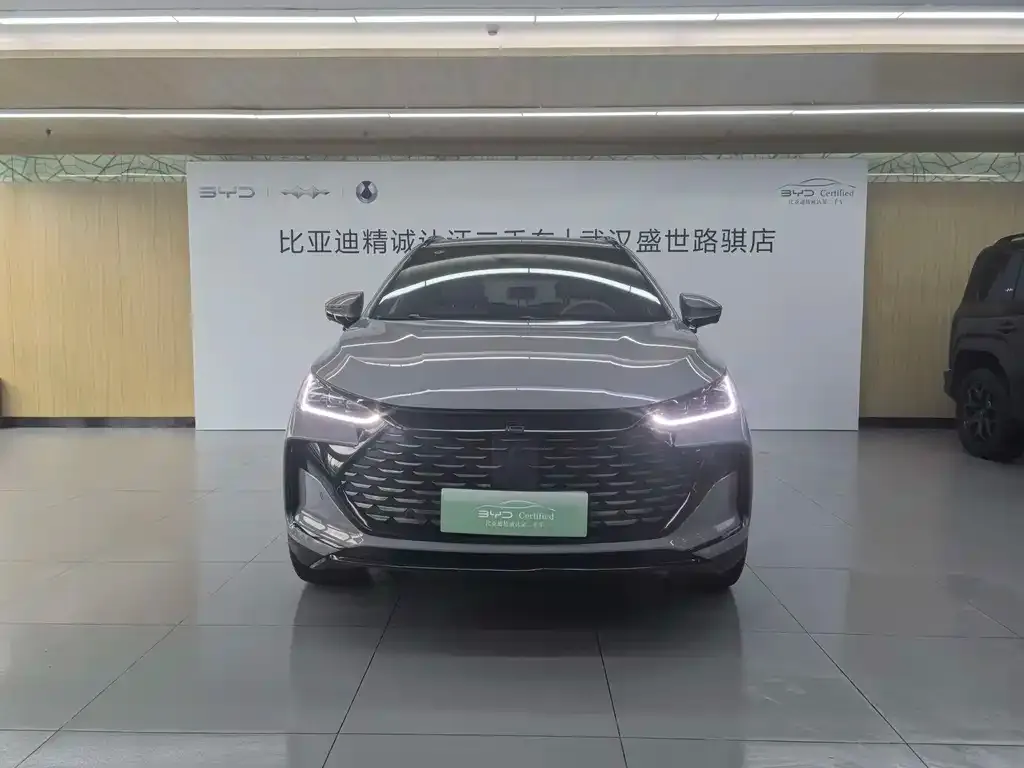 BYD Tang New Energy — фото 3