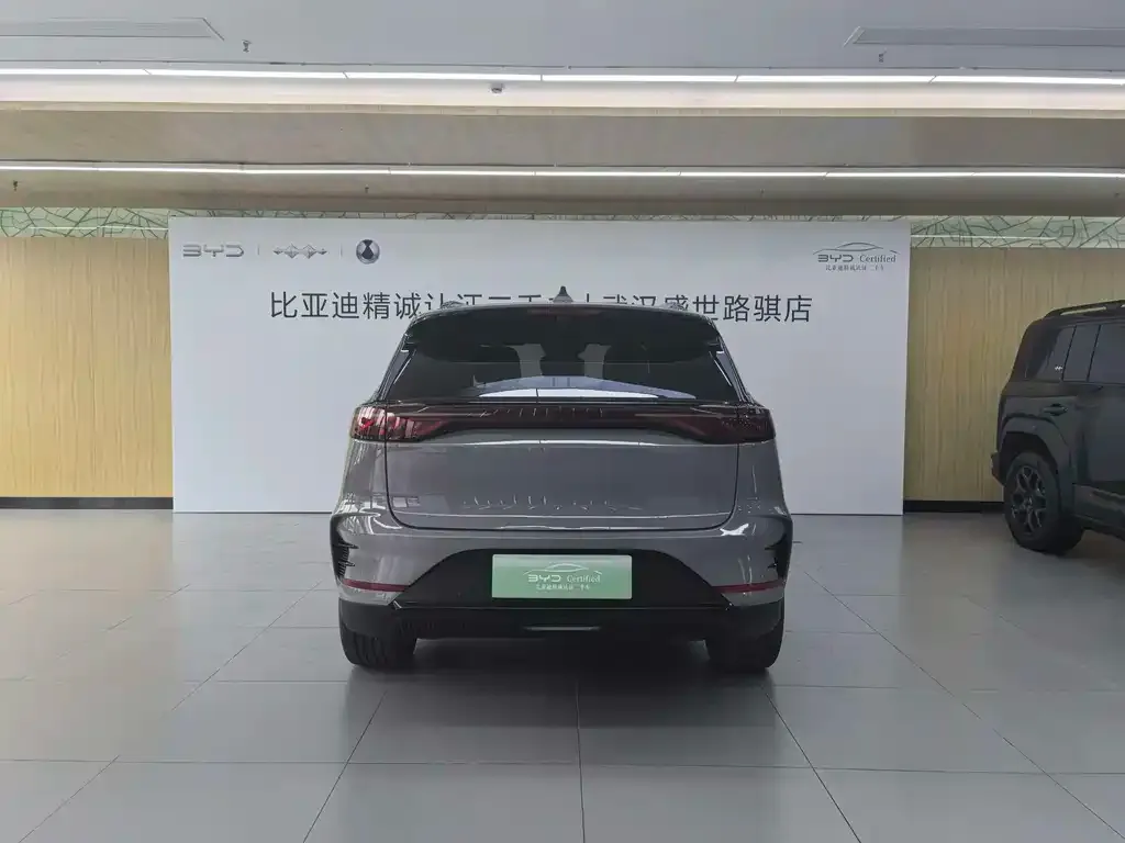 BYD Tang New Energy — фото 9